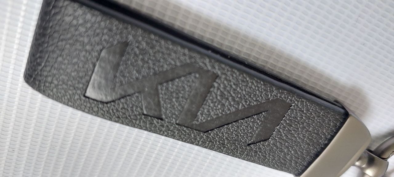 جاسو‍‍‍ئیجی خودرو ( رنگ و برند را خودتان انتخاب کنید )